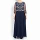 BEIGE LACE BODICE EMPIRELINE DRESS NAVY