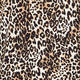 BEIGE LABEL STRETCH JERSEY ANIMAL PRINT TOP