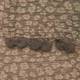 David & Alex SCARF animal print scarf with fur pompoms - blush