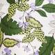 LUISA VIOLA PRINTED CULOTTE KIWI