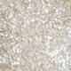 MARINA RINALDI SEQUIN EMBELLISHED GOWN