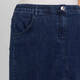 Samoon Denim Midi Skirt 