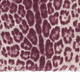 ALEXANDRA SCHMITZ Leopard PRINT SCARF