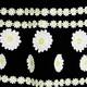 Yoek Dress with Appliqued White Daisies