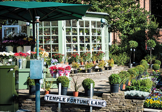 Temple Fortune Lane