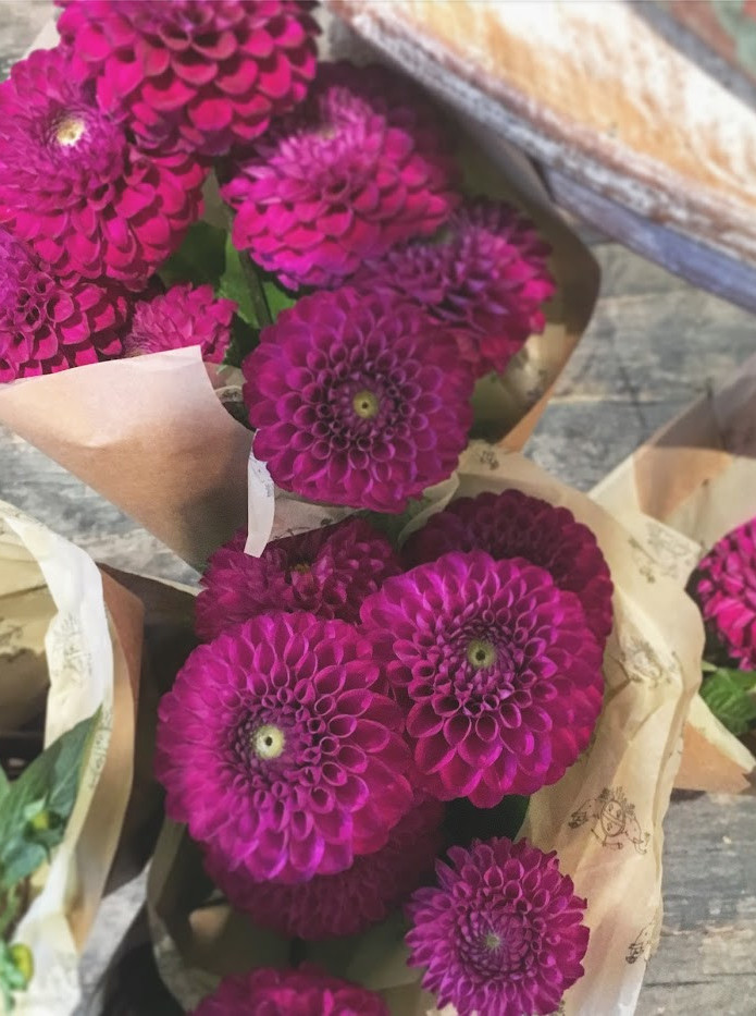 The Chelsea Flower Show: Beautiful Blooms & Fabulous Florals