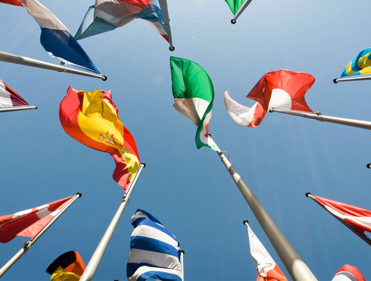 Plus Size Designer Fashion Shipping Worldwide