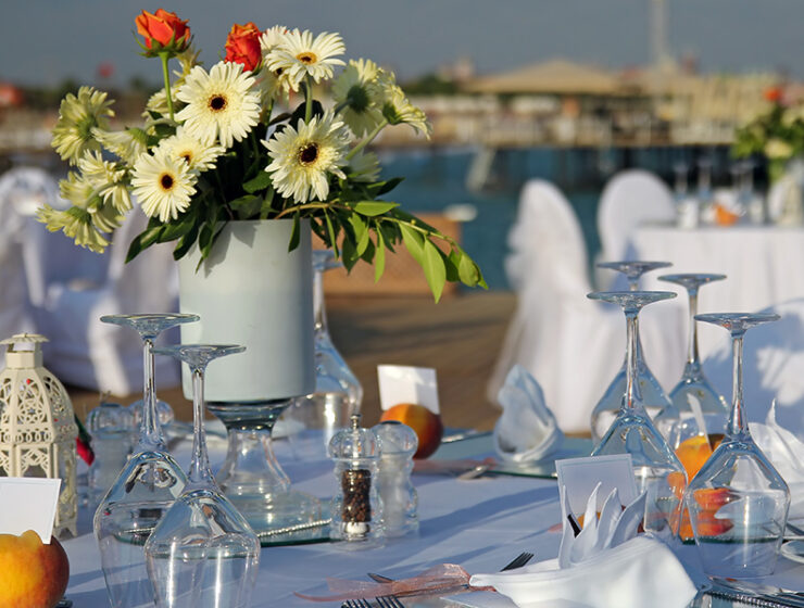 Special Occasions for Plus Size Women