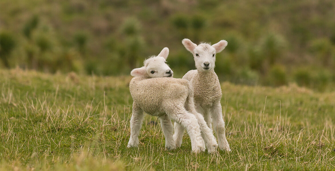 Step into Spring with stunning styles from BeigePlus