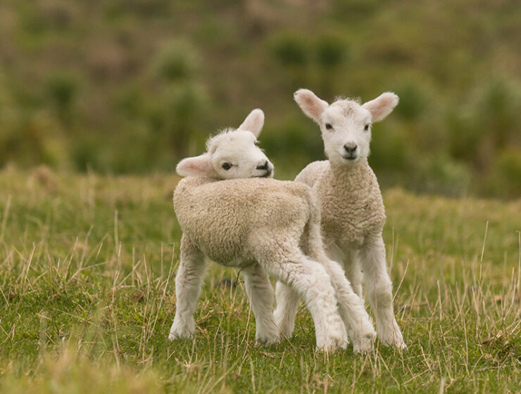 Step into Spring with stunning styles from BeigePlus