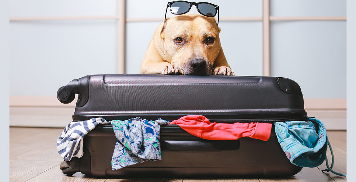 The Buying Season Is Upon Us