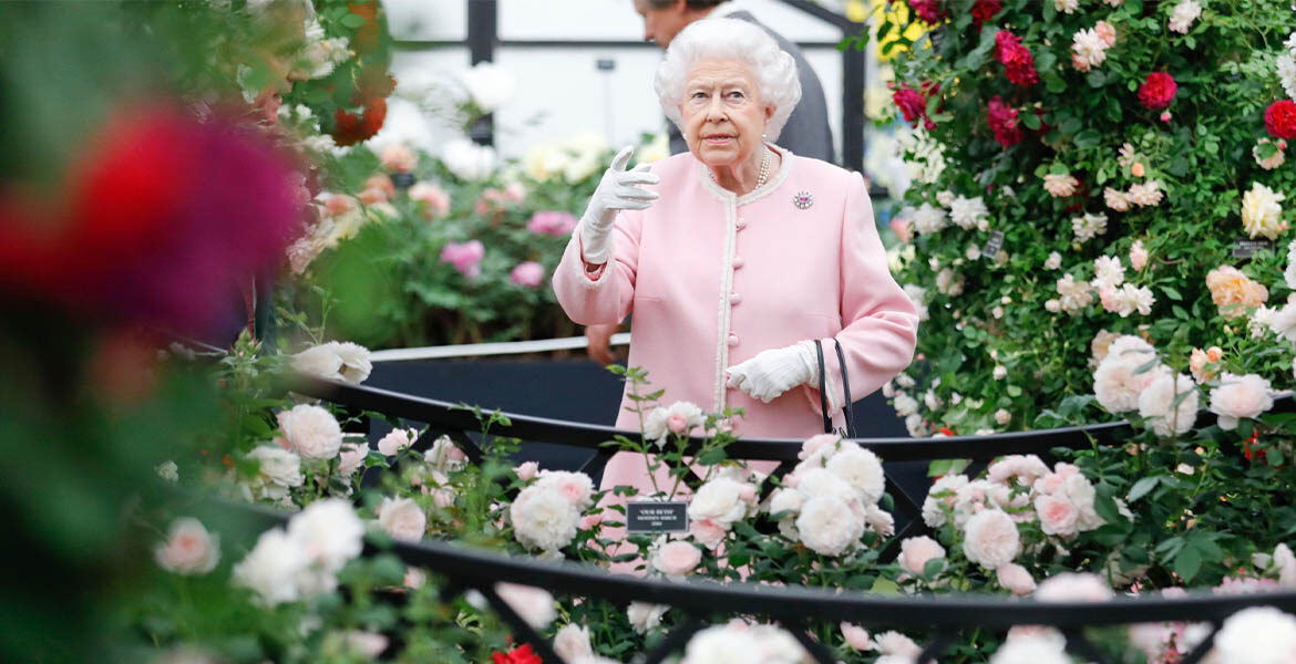 The Chelsea Flower Show Beautiful Blooms & Fabulous Florals
